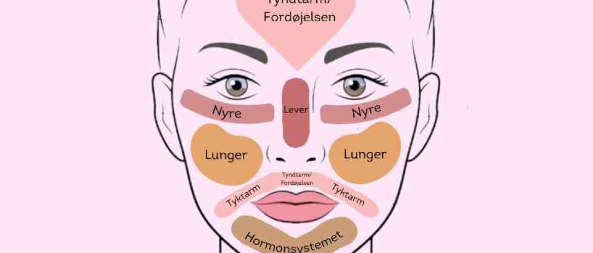 Et kort over acne face mapping
